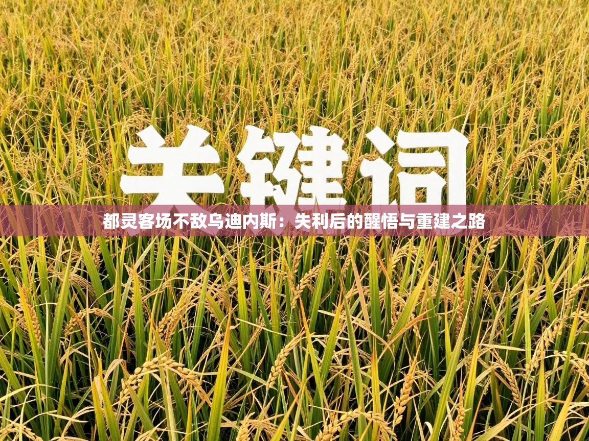 都灵客场不敌乌迪内斯：失利后的醒悟与重建之路  第2张