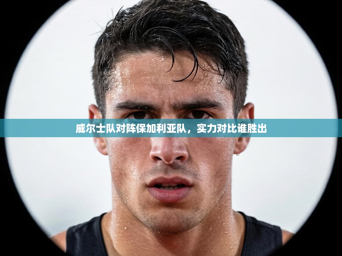 威尔士队对阵保加利亚队，实力对比谁胜出  第1张