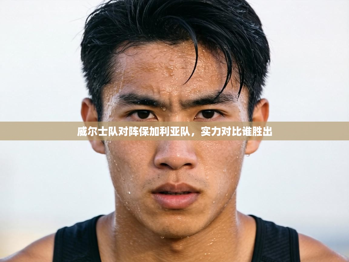 威尔士队对阵保加利亚队，实力对比谁胜出  第2张